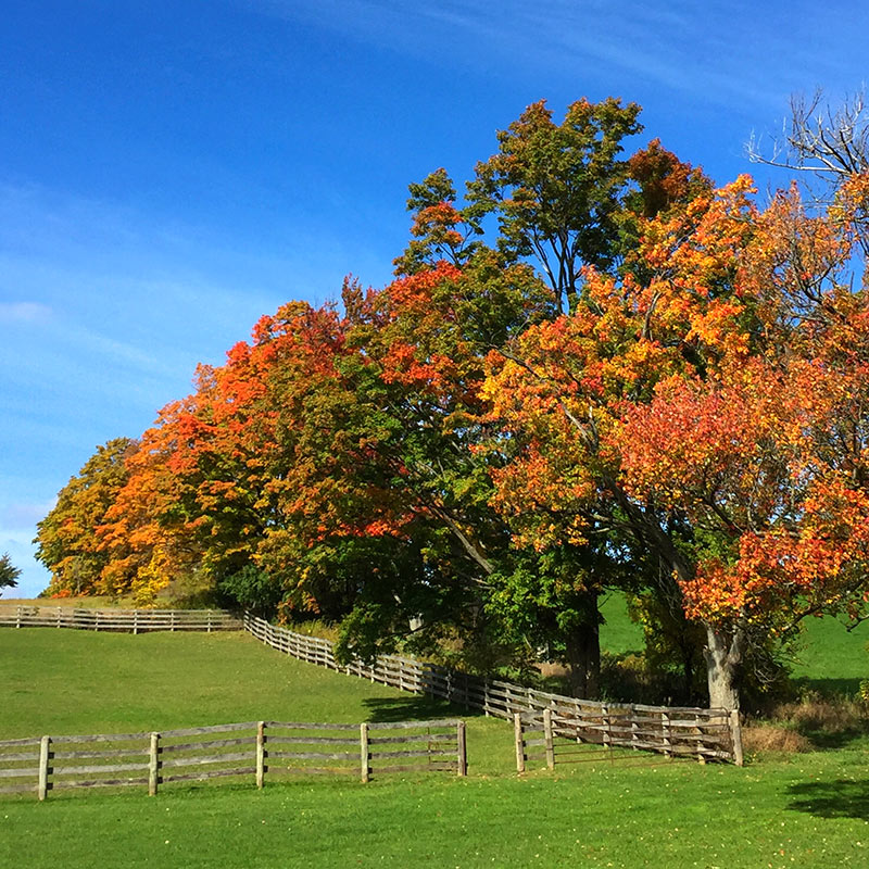 Award Winning Facilities
