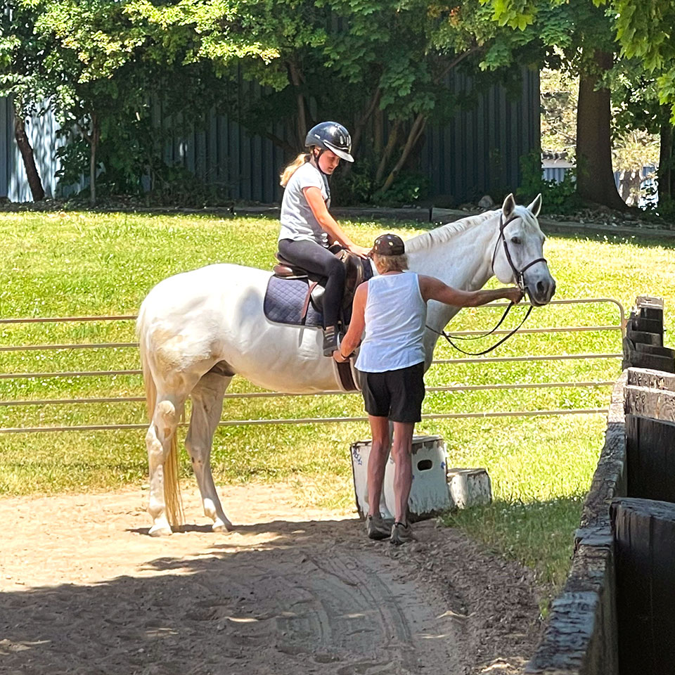 Waymark Farms Featured Images