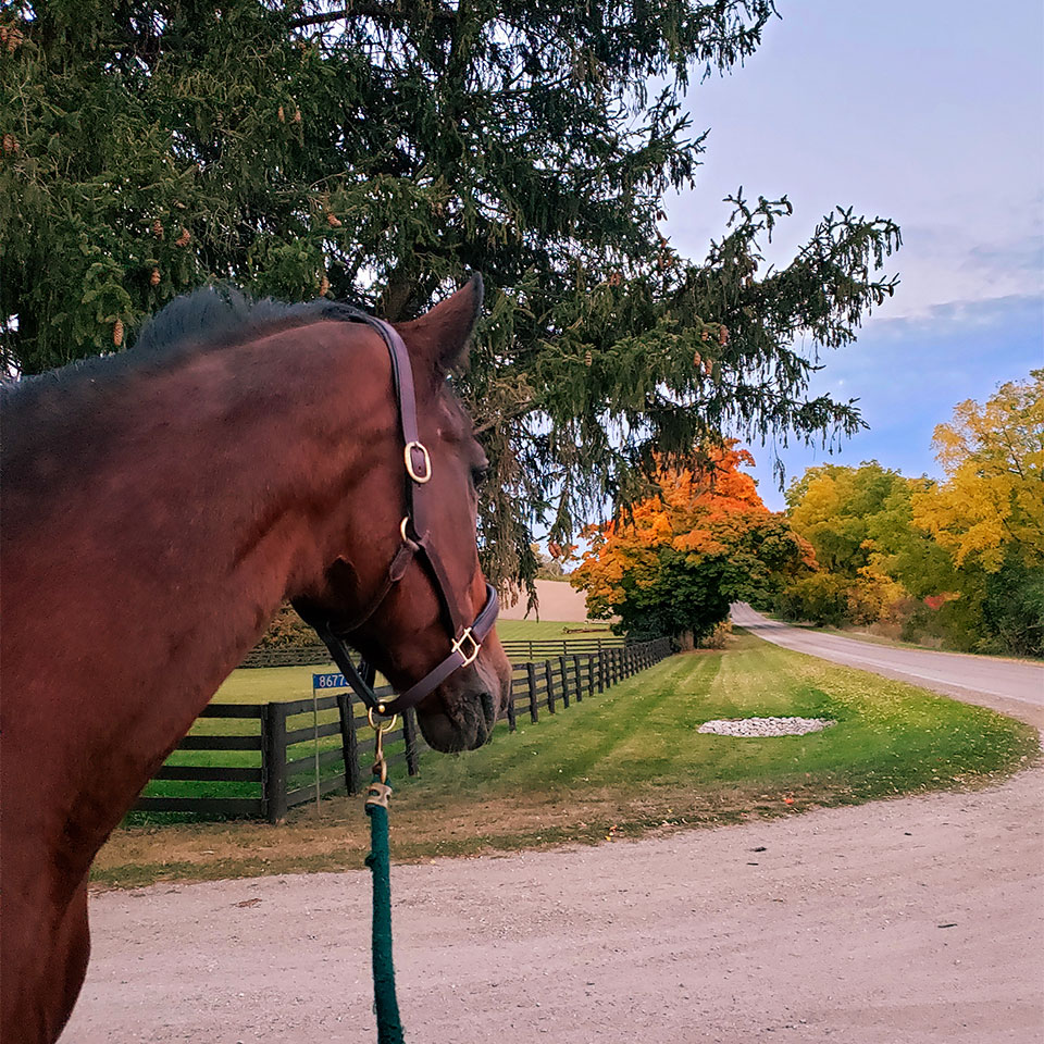 Waymark Farms Featured Images