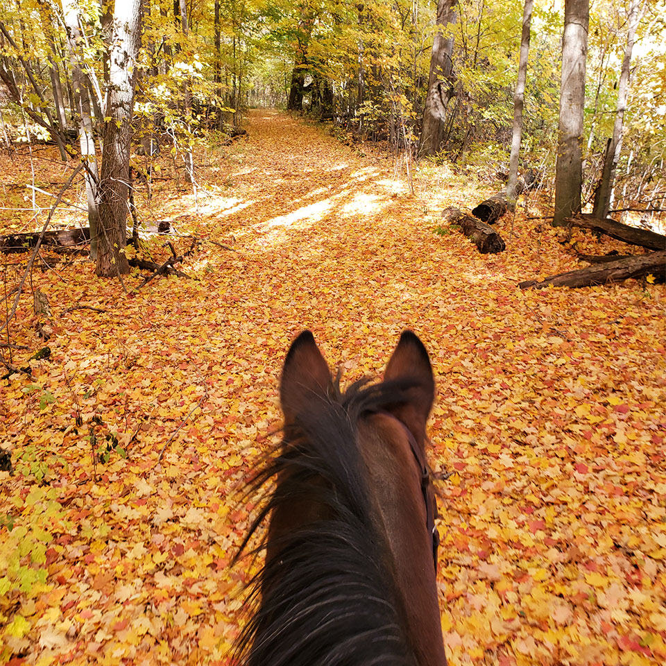 Waymark Farms Featured Images