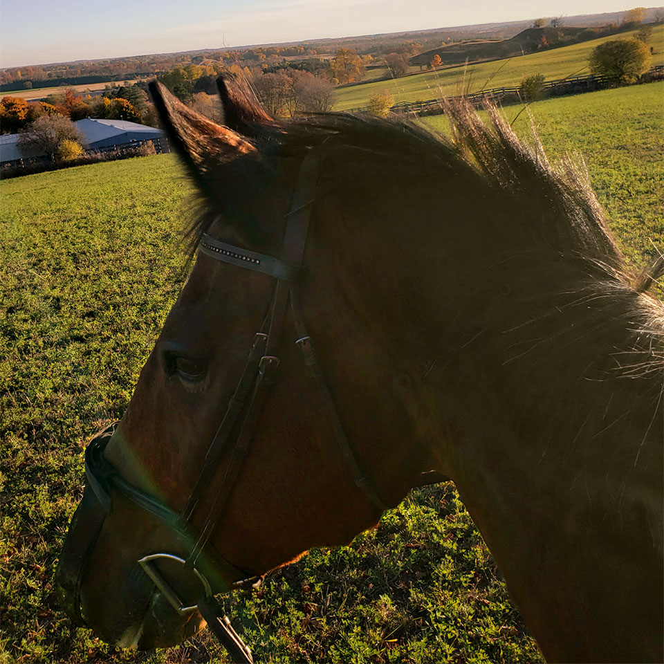 Waymark Farms Featured Images