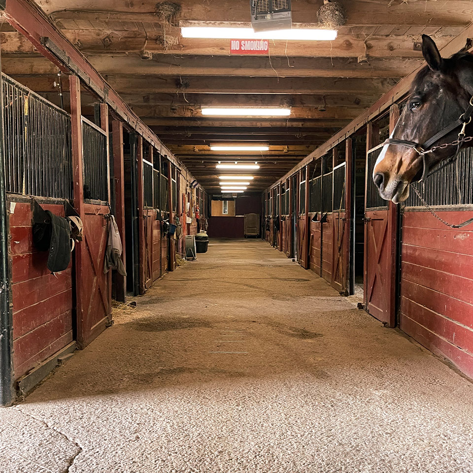 Waymark Farms Featured Images