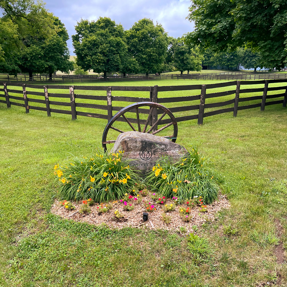 Waymark Farms Featured Images