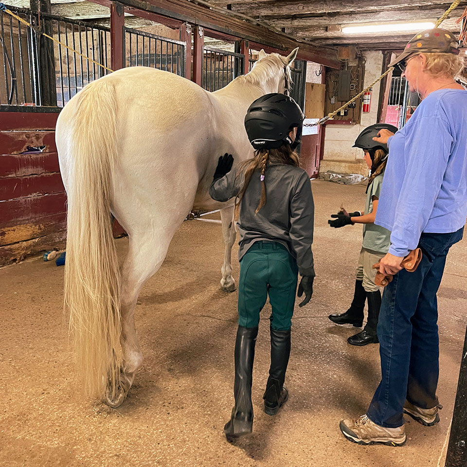 Waymark Farms Featured Images