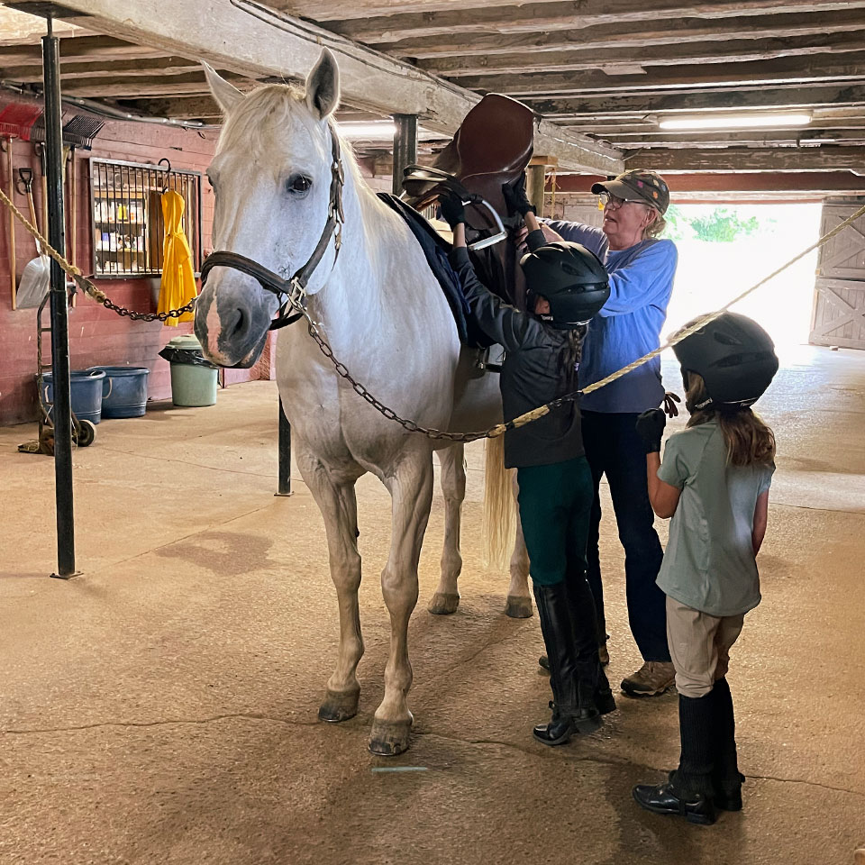 Waymark Farms Featured Images